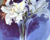 Vita Liljor - 安德斯·左恩